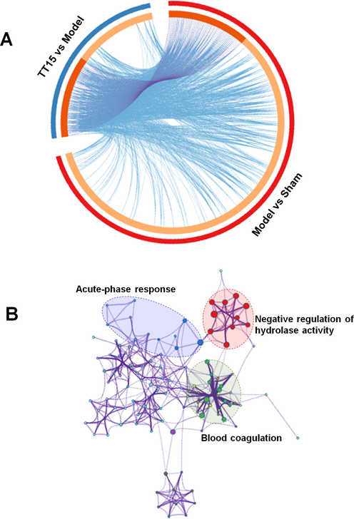 Circos plot (A) and enrichment network (B) of DEPs.