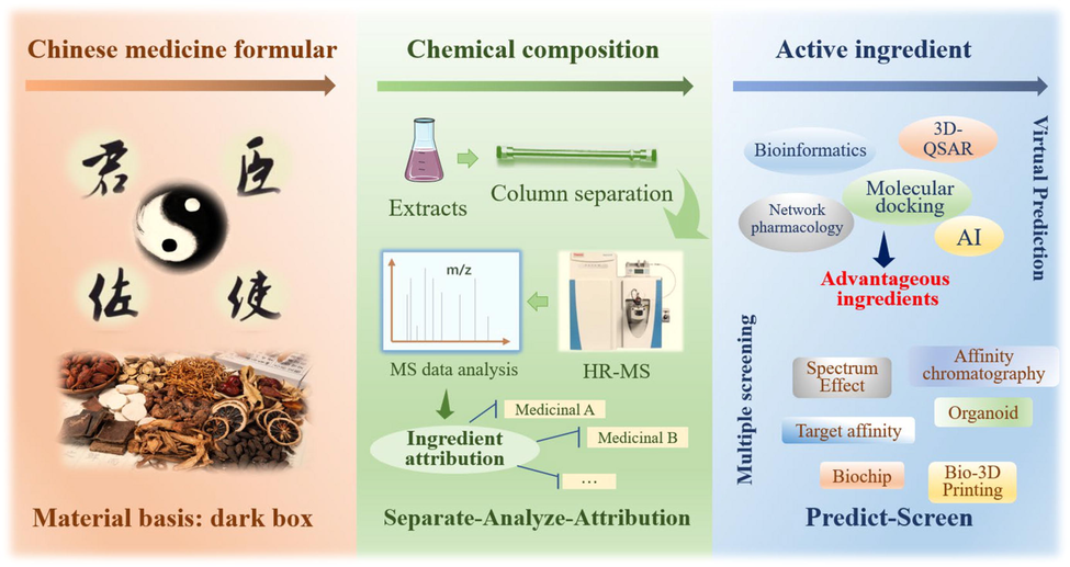 Schematic diagram of the subtraction study of Chinese medicine formula ingredients in vitro.