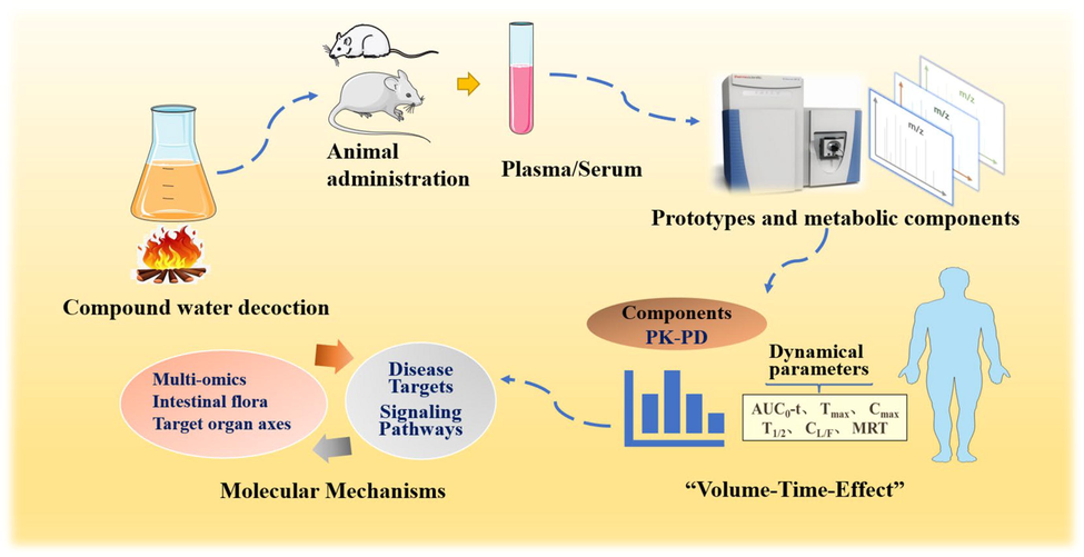 Schematic diagram of the pharmacodynamic characteristics of Chinese medicine formula components in vivo.