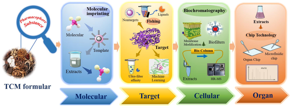 Schematic diagram of innovative technology to discover key efficacy components.