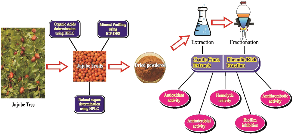 Schematic presentation of the present research work undertaken.