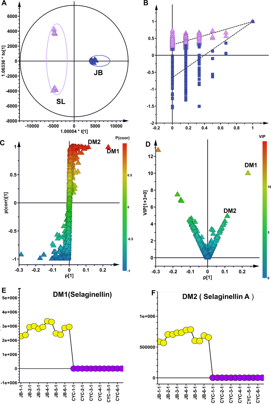 Screening the distinguishing markers between S. tamariscina (JB) and four non-S. tamariscina species marketed as counterfeit TCM. (A) OPLS-DA model scatter diagram. (B) Permutation test performed 200 times for the validation of OPLS-DA. (C) Scatter plot from the OPLS-DA model used to screen differential metabolites with p(corr) > 0.5. (D) Scatter plot from the OPLS-DA model used to screen distinguishing markers (DM) with VIP > 0.5. (E) The top-1 distinguishing marker (DM1). (F) The top-2 distinguishing marker (DM2).