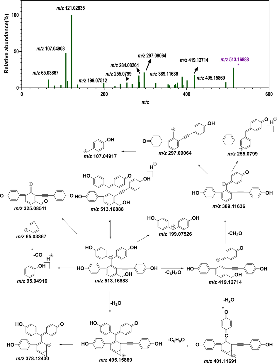 Putative fragmentation pattern of the top-2 distinguishing marker (DM1) (selaginellin A). (A) MS/MS spectrum of differential metabolite 2. (B) Possible fragmentation pattern of selaginellin A.