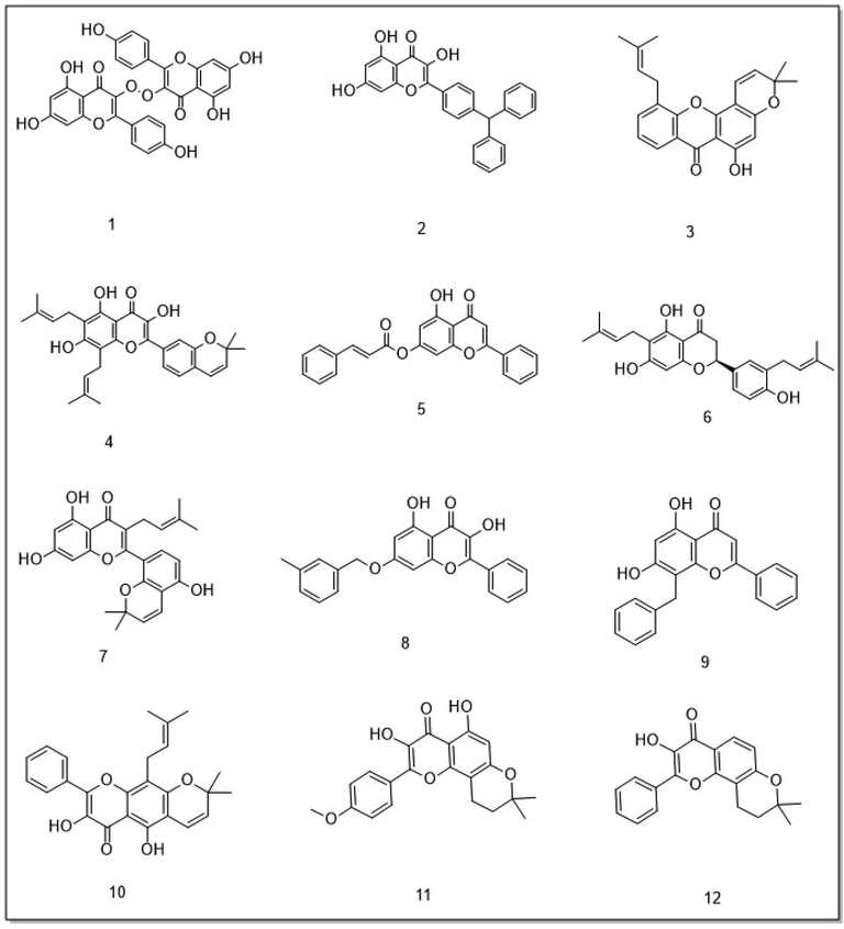 chemical structure of 12 top chromenone derivatives.