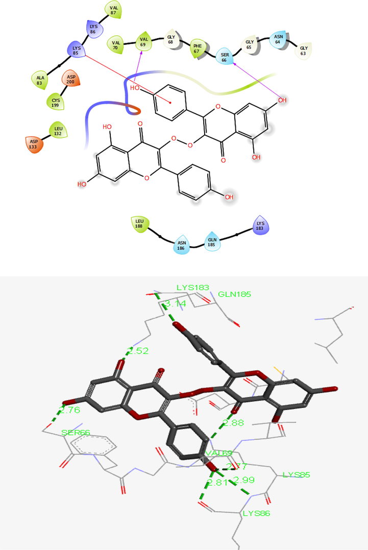 Presentation of 2D and 3D models of interactions between compound1 and modeled Protein (GSK-3β).