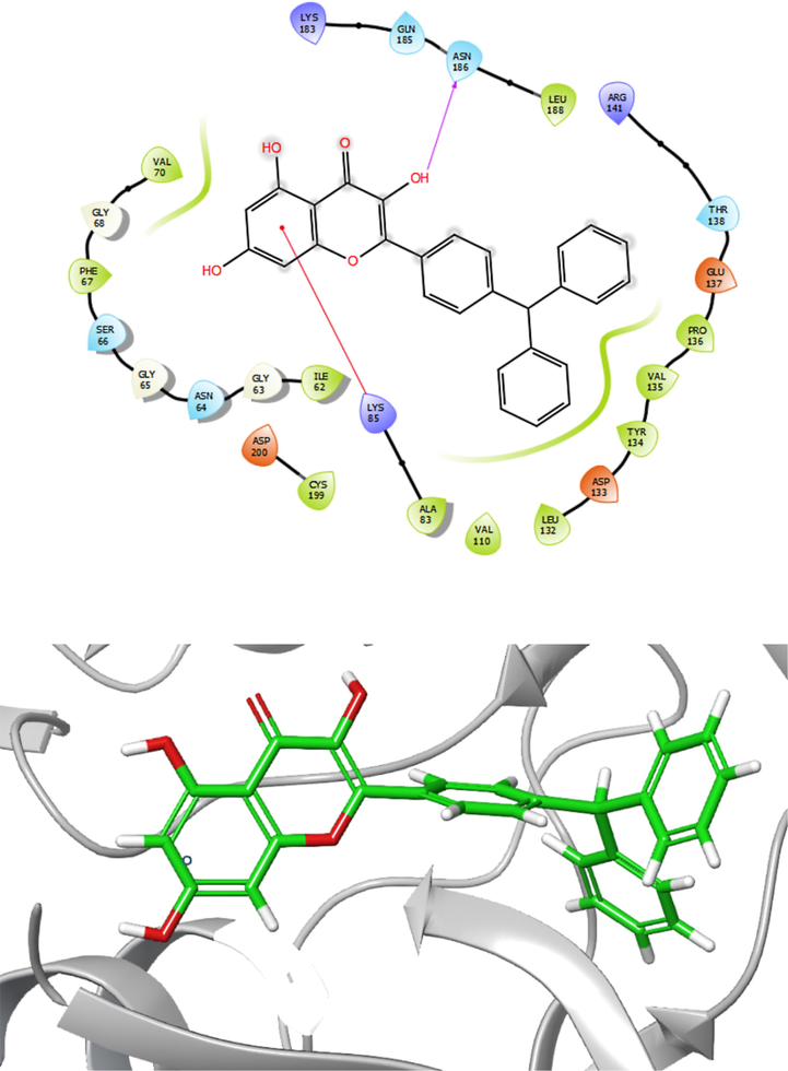 Presentation of 2D and 3D models of interactions between compound 2 and modeled Protein (GSK-3β).