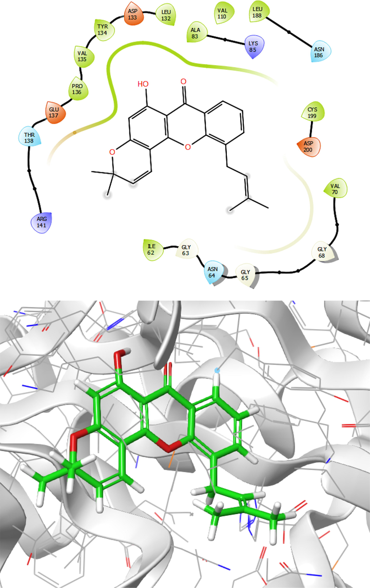 Presentation of 2D and 3D models of interactions between compound 3 and modeled Protein (GSK-3β).