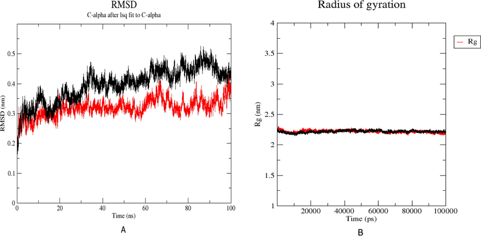 A). RMSD plots of the modeled Protein alone (black) and in complex with compound1 (red), in water at 300 K, during 100 ns MD simulation. B) Radius of gyration (Rg) of the modeled Protein alone (black) and in complex with compound1 (red) in water during 100 ns MD simulation.