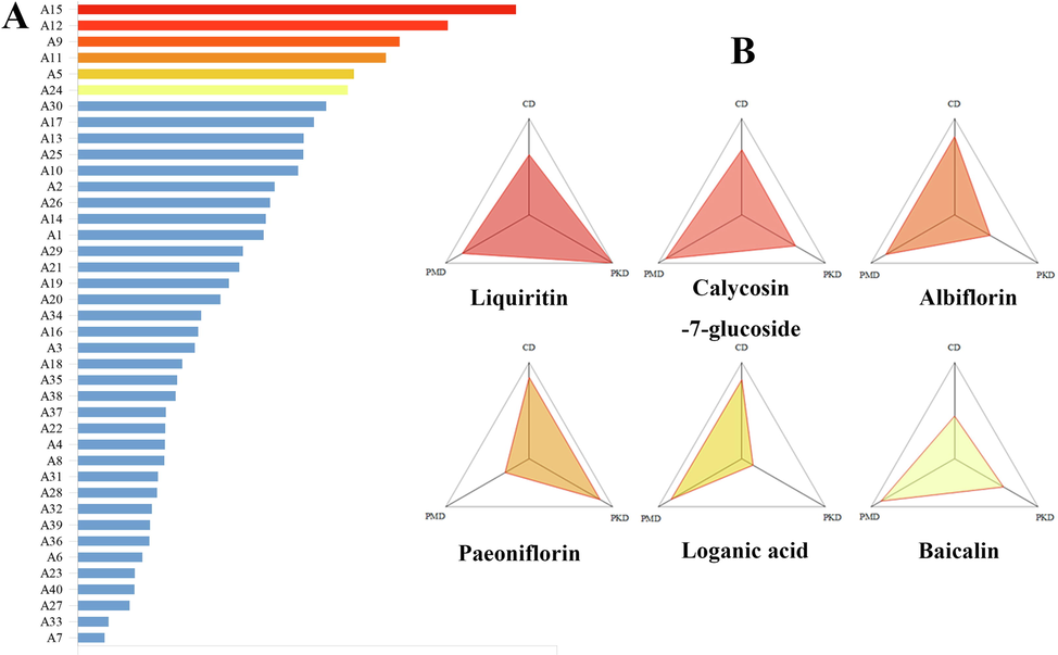 Established the ‘Spider-web’ mode of A1-A40 in MLSTP. (A) Histogram of regression area ranking formed by “spider web”. (B) A three-dimensional network of the top six compounds.