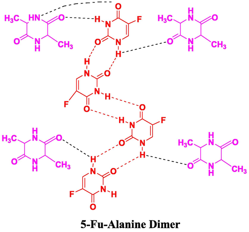 Proposed interactions in 5-Fu-A.D (5-Fu-Alanine Dimer) co-crystals.