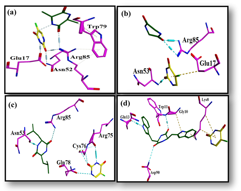 Ligand protein interaction profiles of 5-Fluorouracil in yellow and (a) Alanine, (b) Glycine, (c) Leucine and (d) Tryptophane in green inside the binding pocket of AKT3 Protein Kinase where cyan dotted lines represent the H-bonds.