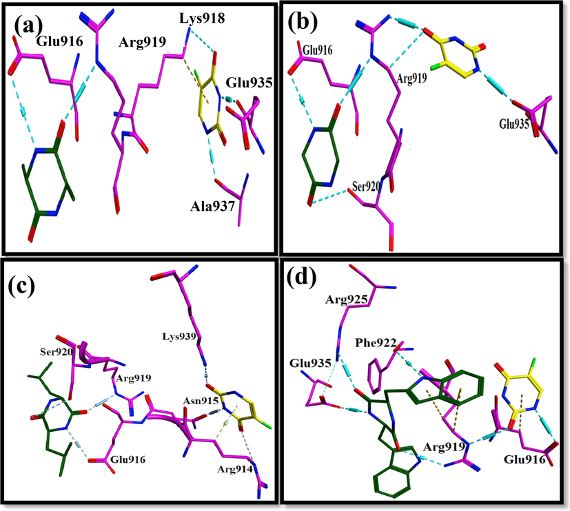 Ligand protein interaction profiles of 5-Fluorouracil in yellow and (a) Alanine, (b) Glycine, (c) Leucine and (d) Tryptophane in green inside the binding pocket of C-MYC Protein Kinase where cyan dotted lines represent the H-bonds.