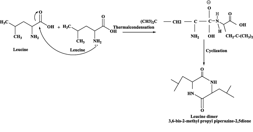 Synthesis of Leucine cyclic dimer from Leucine mononers.