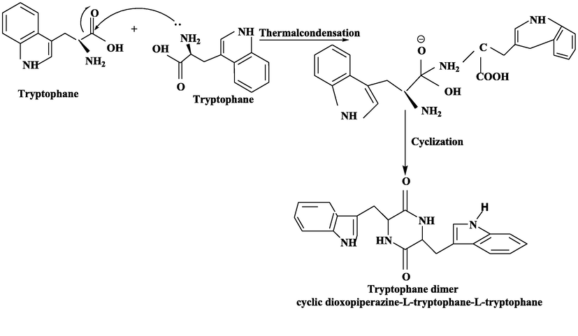 Synthesis of Tryptophane cyclic dimer from Tryptophane mononers.