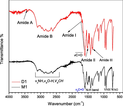 FTIR spectra of glycine monomer(M1) and dimer (D1).