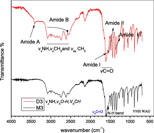 FTIR spectra of alanine monomer (M3) and dimer (D3).