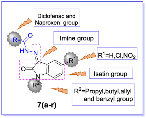 General representation of hydrazone derivatives 7(a-r) for SAR analysis.