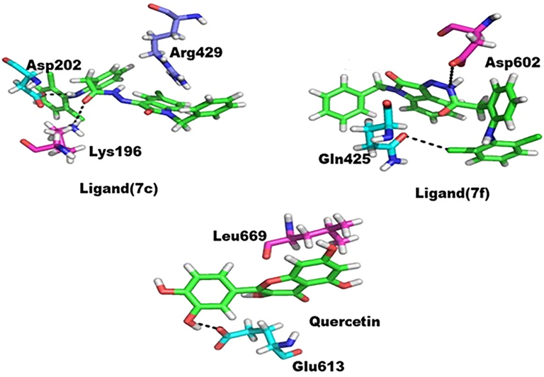 Protein-ligand interaction, purple color shows ligand atoms.