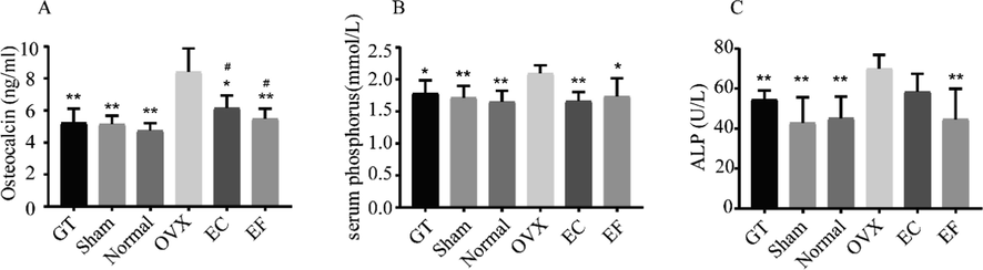 Effects of Eucommia cortex (EC) and Eucommia folium (EF) on biochemical markers levels of bone metabolism in ovariectomized (OVX) rats: (A) osteocalcin; (B) serum phosphorus; (C) ALP. Values are expressed as the mean ± standard deviation (SD); n = 6. *p < 0.05, **p < 0.01 compared with the OVX group. #p < 0.05, ##p < 0.01 compared with the sham group.