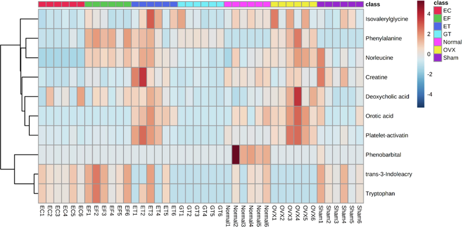 Heatmap based on the relative levels of top ten variable importance in the projection (VIP) value differential metabolites in different groups. Color key indicates metabolite expression: red: upregulated, blue: downregulated.