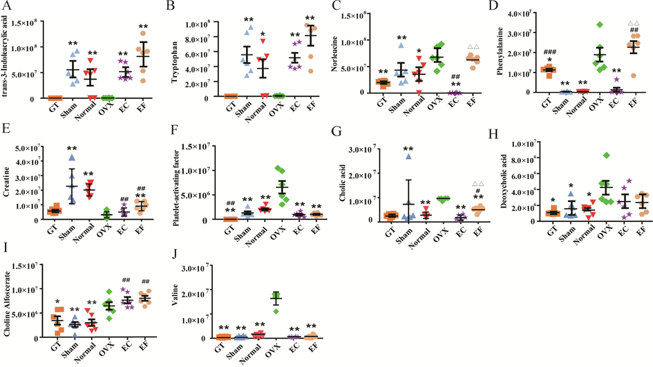 Comparison of the top ten variable importance in the projection (VIP) value differential metabolites in six groups. Values areexpressed as the mean ± standard deviation(SD); n = 6. *p < 0.05, **p < 0.01 compared with the ovariectomized (OVX) group. #p < 0.05, ##p < 0.01 compared with the sham group. Δp < 0.05, ΔΔp < 0.01 compared with the Eucommia cortex(EC) group.