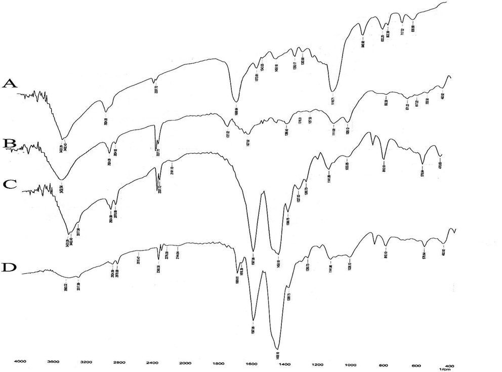 FTIR spectra of (A): MNPs, (B): MNPs-HA, (C): MNPs-HA-NH2 and (D): MNPs-HA-MTX.