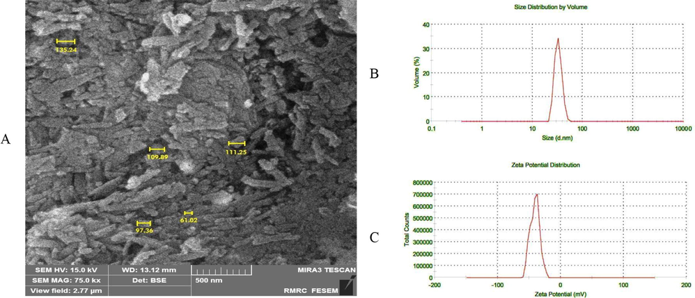 A) Shows the FESEM image of the MNPs-HA-MTX. The magnification used for this imaging was 75 kx. B and C) show the size distribution and zeta potential of MNPs-HA-MTX in water solution. Zeta potential is usually measured from +100 mV to −100 mV.