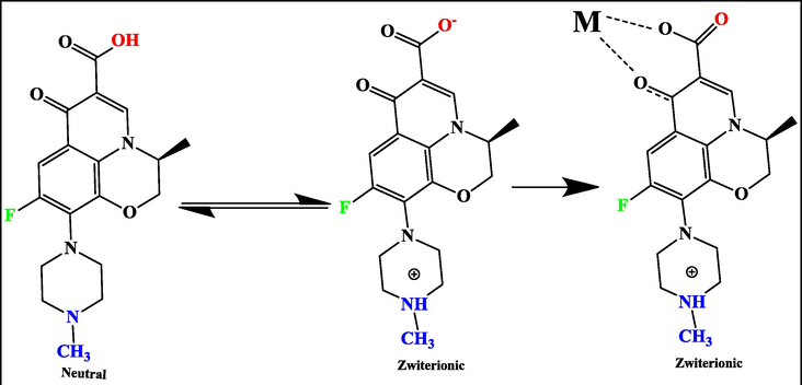 Schematic represents the suggested adsorption mechanism of LEV onto the surface of the PG-Fe0 composite (M), pH = 6.5.