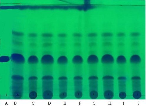 TLC analysis results of extracts from different single-phase solvent systems A = standard α-mangostin, B = EtOAc, C = EtOH, D = IPA, E = EtOAc:IPA 3:1, F = EtOAc:IPA 1:1, G = EtOAc:IPA 1:3, H = EtOAc:EtOH 3:1, I = EtOAc:EtOH 1:1, G = EtOAc:EtOH 1:3.