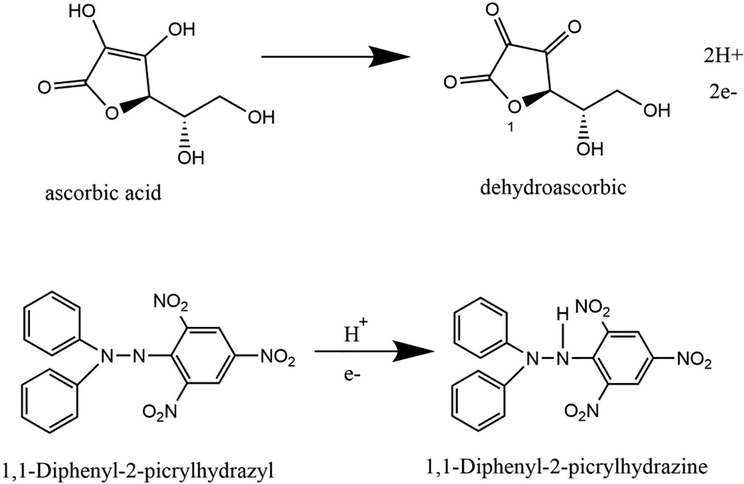 The reaction of the DPPH radical scavenging by ascorbic acid. Modified from de Menezes et al. (2021).