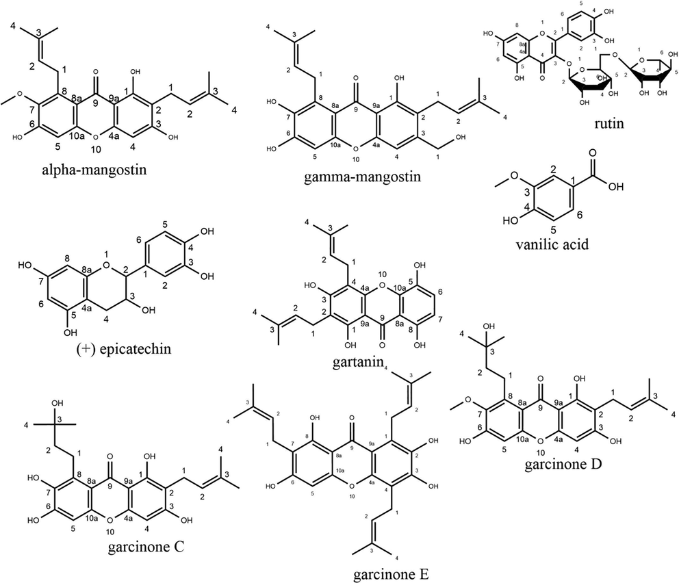 The structure of phenolic compounds contained in Garcinia mangostana L.
