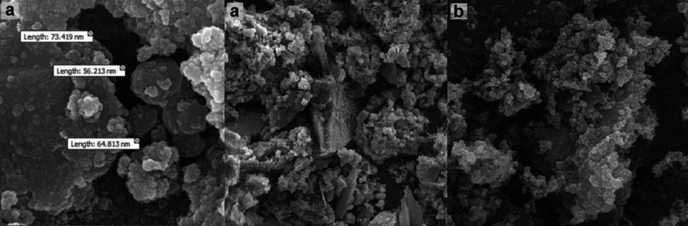 FE-SEM images of a) Fe3O4/MPC-[IL] and b) Fe3O4.