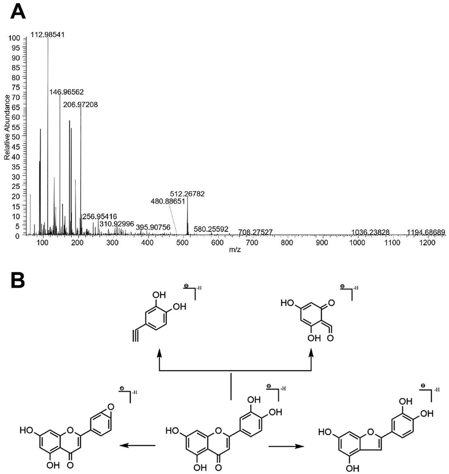 MS spectrum (A) and the possible cleavage pathway (B) of luteolin.