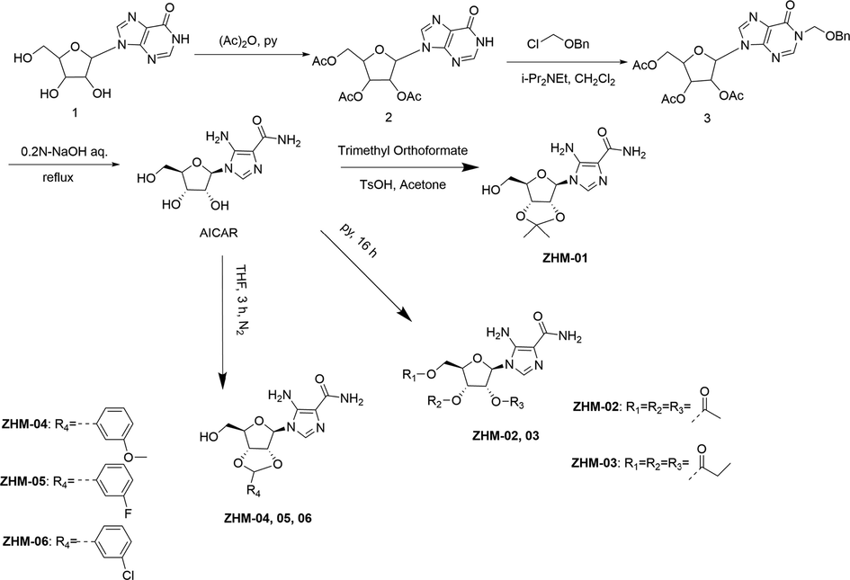 Synthesis of AICAR derivatives.