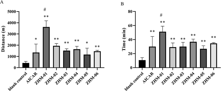Exhaustion distance in the running wheel test (A) and exhaustion time in the weight-loaded swimming test (B). *P < 0.05, **P < 0.01 vs the blank control group; #P < 0.05, ##P < 0.01 vs the AICAR group. Data are presented as the mean ± SD (n = 8).