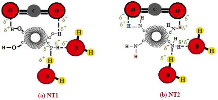 Schematic of interaction between carbon dioxide and hydrogen sulfide with NT1 and NT2.