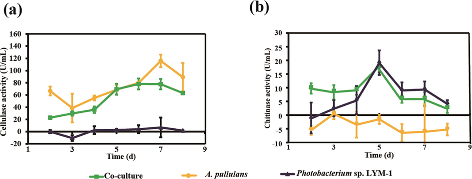 Activity of chitinase and cellulase during fermentation in the FB.