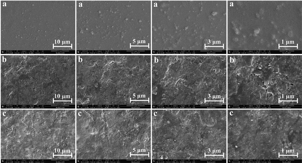 SEM micrographs of different FBBF films at different magnifications. (a) The film only contains PVA (P), (b) The FBBF film without additives (PF), (c) The optimized FBBF film (PFCGl).