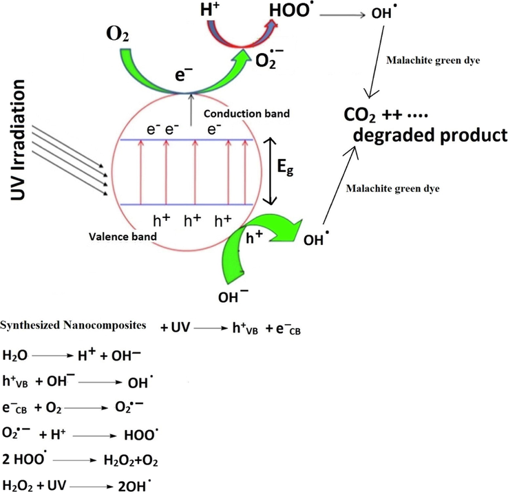 The suggested mechanism for the degradation of malachite green dye.