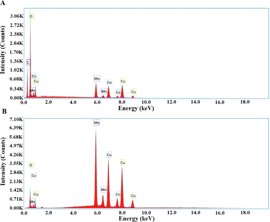 EDX patterns of the P1 (A) and P2 (B) composites.