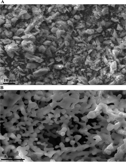 Scanning electron microscope images of the P1 (A) and P2 composites.