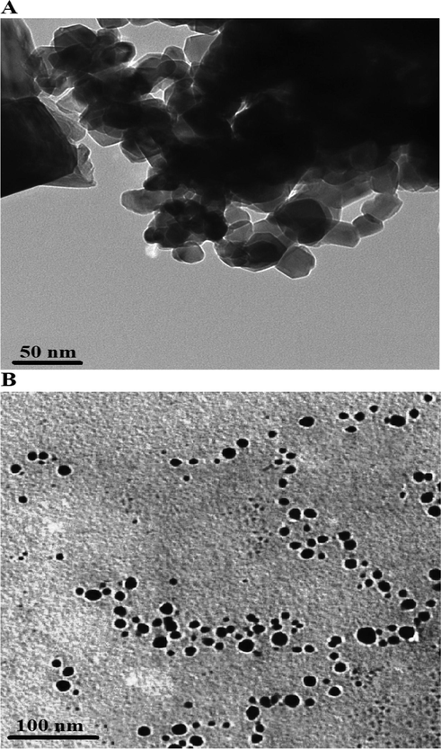 Transmission electron microscope images of the P1 (A) and P2 composites.