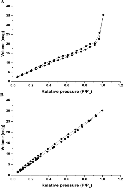 N2 adsorption/desorption isotherms of the P1 (A) and P2 (B) composites.