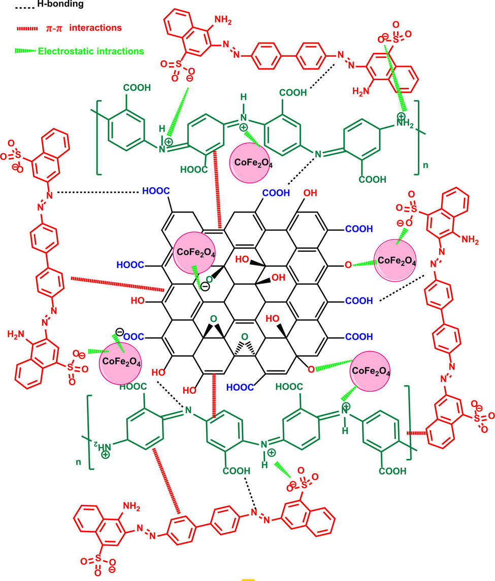 Reaction scheme for the P3ABA/GO/CoFe2O4 nanocomposite with the CR dye during the adsorption process.