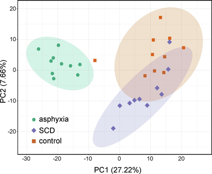 A plot of the PCA scores illustrating the rat pulmonary metabolomics data obtained from the asphyxia, SCD, as well as controls. SCD: sudden cardiac death.