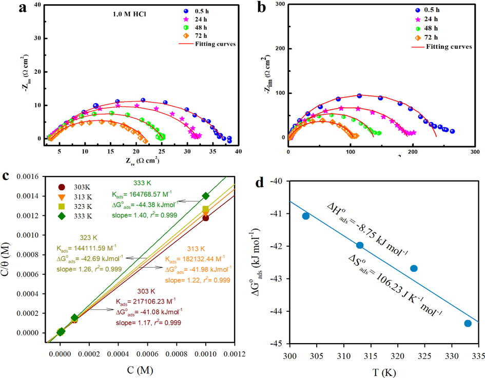 Electrochemical impedance responses of the MS surface, presented in the Nyquist plot for long-term immersion (a) free solution (b) with MPC inhibitor (c) Langmuir isotherm model suitable for the adsorption of MPC and (d) the variation of Δ G ads o with T.