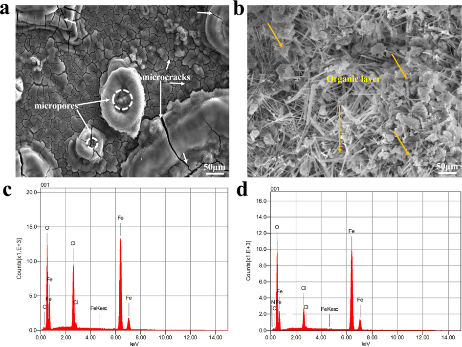 Morphologies of MS surface after long-term corrosion test in (a) uninhibited, and (b) inhibited 1 M HCl solution and (c,d) their elemental composition.