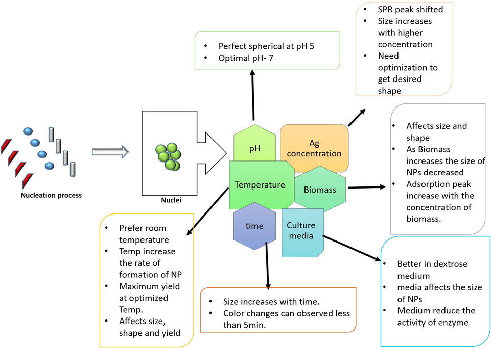 Consequences of biogenic nanoparticle, b. Consequences of biogenic nanoparticle.