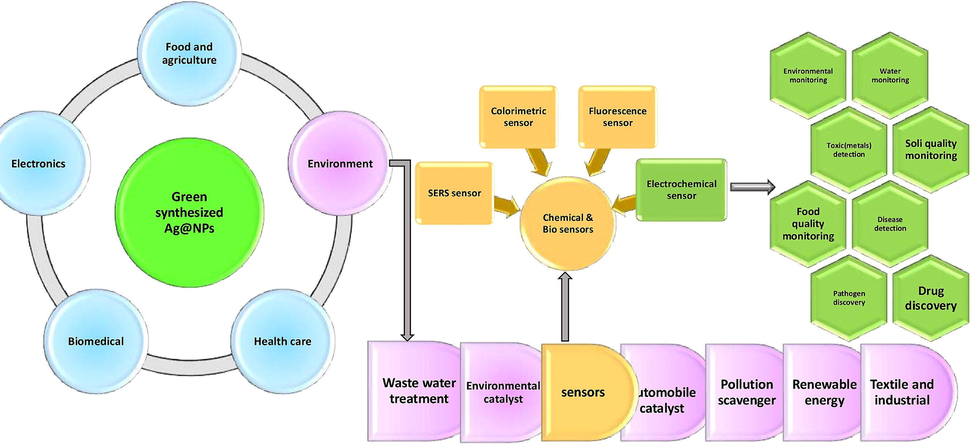 Applications of biosynthesized Ag NPs.