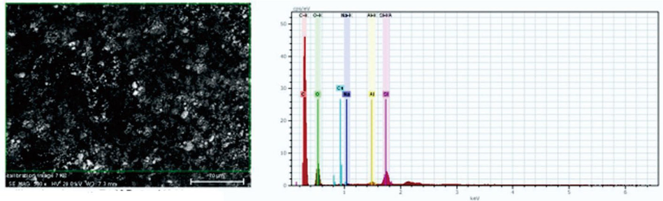 SEM-EDX image of silica gel.